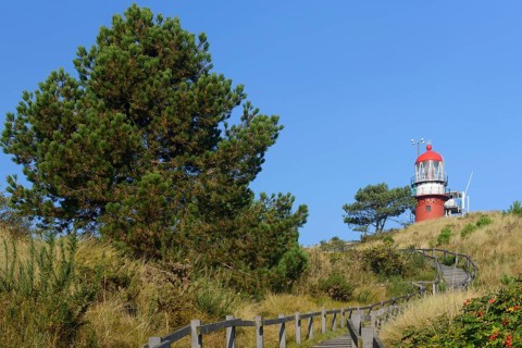 Lighthouse on Vlieland