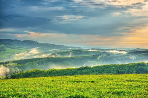 Landscape