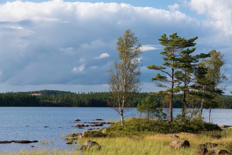 Lake Skarvsjo