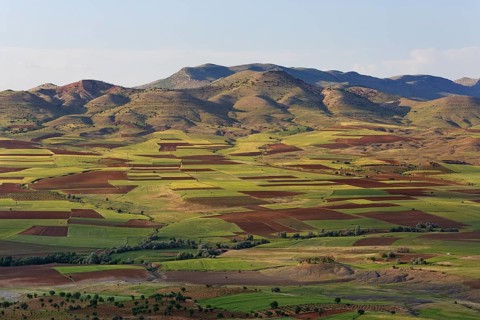 Field landscape in Gercus