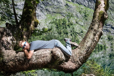 Young Man with sunglasses relaxing on a tree branch