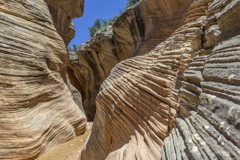 Hiking trail through Willis Creek Canyon