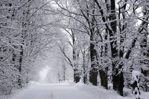 Winter storm