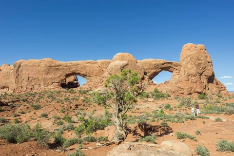 North Window and South Window