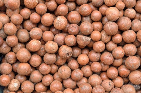 Macadamia nuts