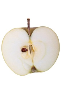 Apple variety Landsberg Rennet