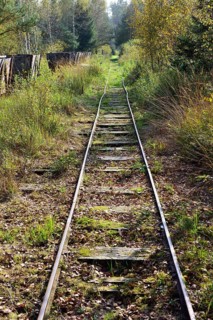 Narrow gauge railway tracks