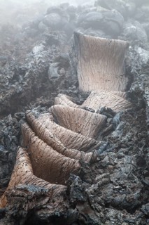 Lava formation at the Tolbachik volcano