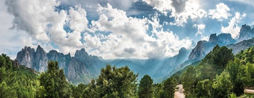 Panoramic