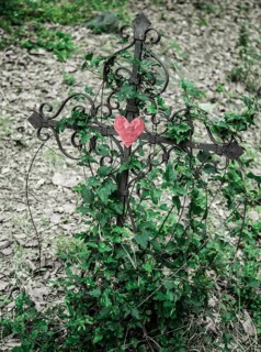 Iron cross with red heart