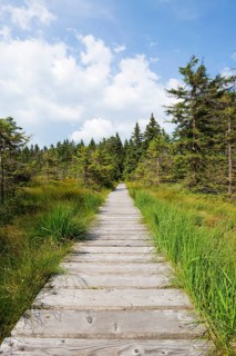 Boardwalk