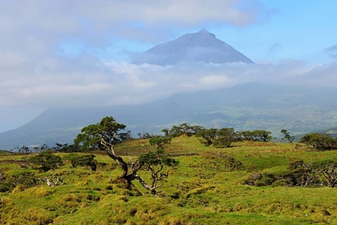 Pico mountain
