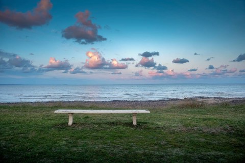 Bench