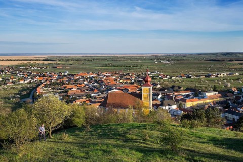 Town View with Mountain Church of St. Martin and Lake Neusiedl