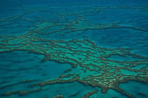 Aerial view of the Great Barrier Reef