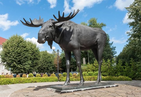 Elk statue