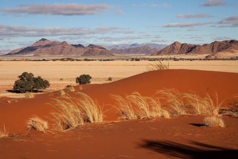 Elim Dune