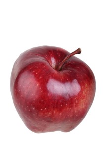 Apple variety Red Chief