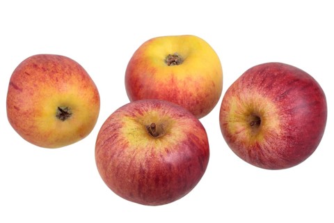 Apple variety Hessische Tiefenblute