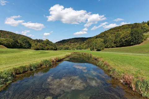 Summer landscape with meadows and streams