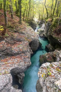 Mountain stream Mostnica flows through a narrow gorge
