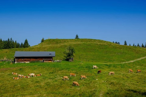 Langenbergalm