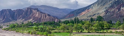 Panoramic