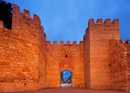 Castle gate in the fortress wall