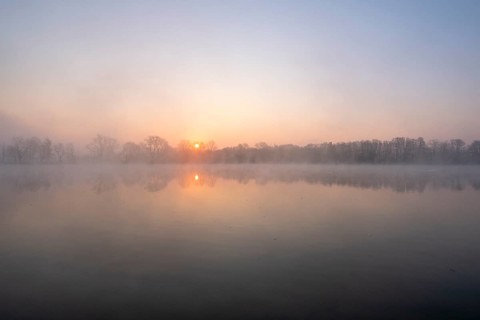 Sunrise in the fog at a pond