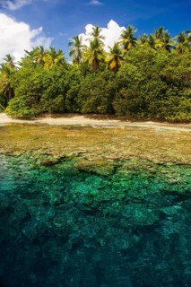 Clear water and an islet in the Ant Atoll