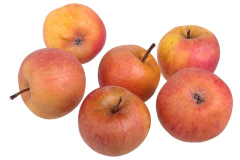 Apple variety Strauwald's Pearmain