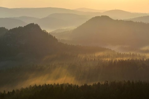 Fog and haze in the morning in the Elbe Sandstone Mountains