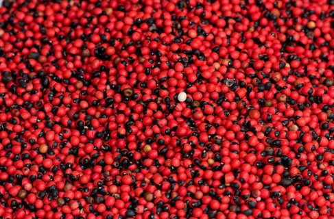 Jequirity peas (Abrus precatorius)