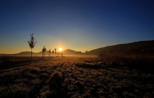 Veste Wachsenburg castle in the morning