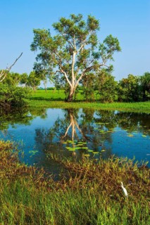 Little lake