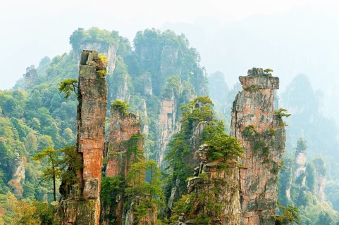 Tianzishan mountain with vertical rock columns of quartz sandstone