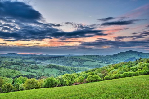 Landscape