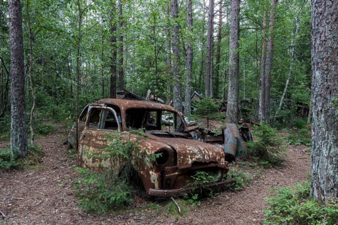 Junkyard in the forest
