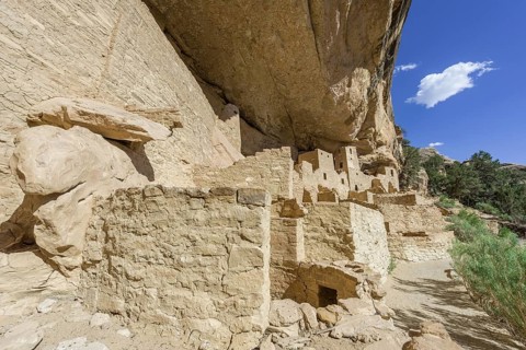 Cliff Palace cliff dwelling