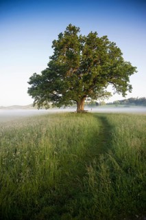 Morning atmosphere