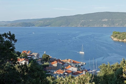 Bay