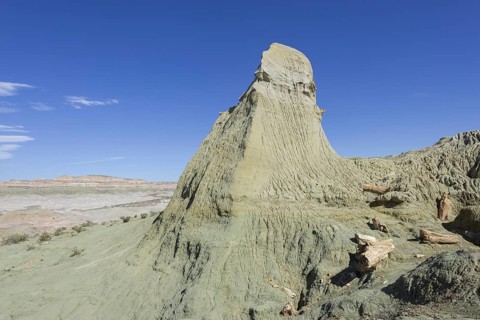 Petrified forest Bosque Petrificado National Monument