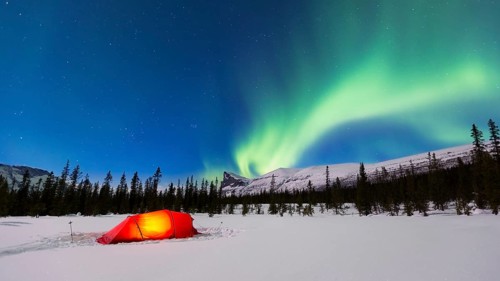 Northern Lights (Aurora borealis) above a red illuminated tent in winter
