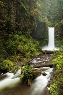 Waterfall Wiesendanger Falls in the Columbia River Gorge