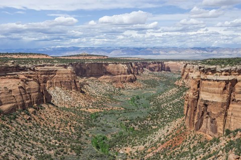 View from Ute Canyon View