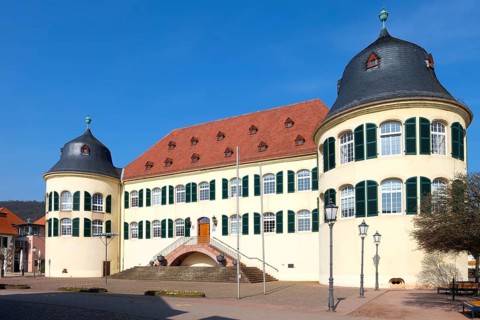 Castle Bergzabern