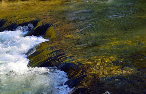 Mountain stream cascading over moss-covered rocks near Fischbachau