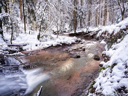 Strumpfelbach brook in the snowy forest