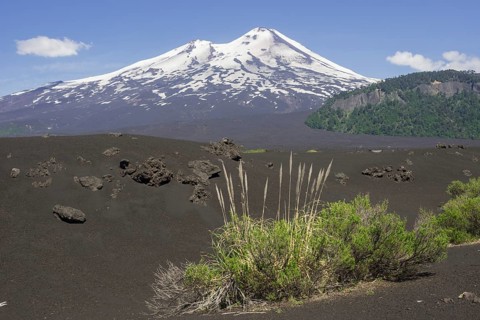 Grass on lava ash and Llaima volcano