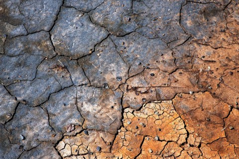 Mineral deposits on dry soil